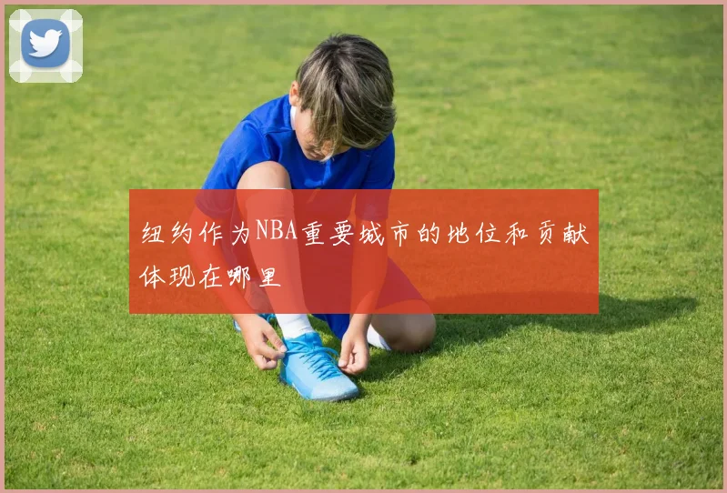 纽约作为NBA重要城市的地位和贡献体现在哪里