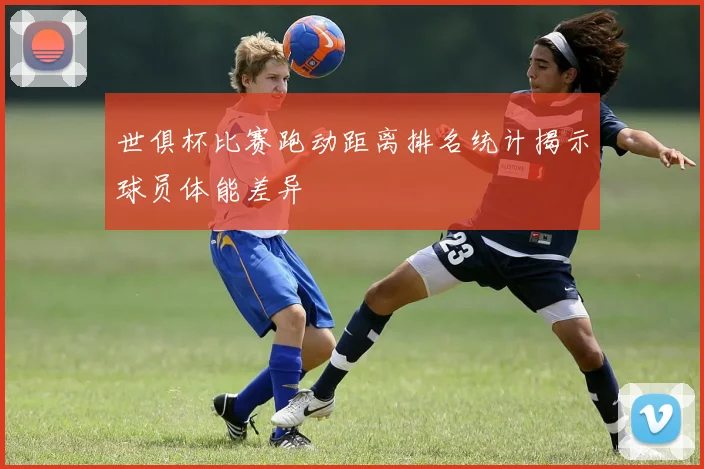 世俱杯比赛跑动距离排名统计揭示球员体能差异