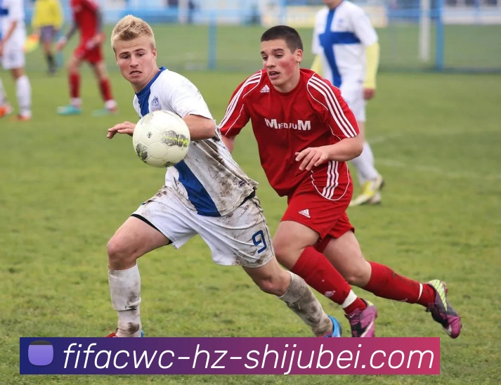 App Interface Preview