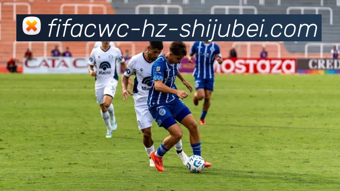 数据防护可视化